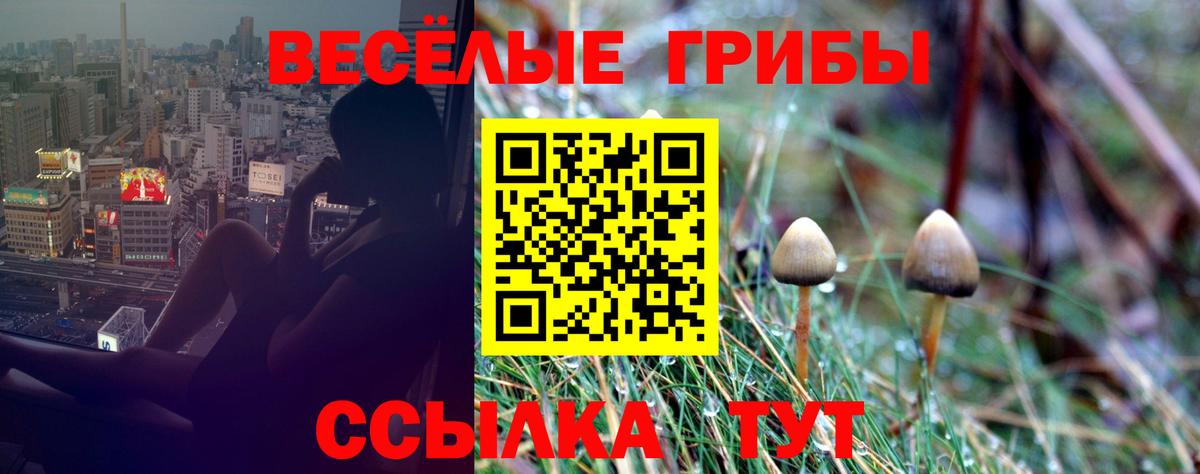 Галлюциногенные грибы мицелий Мирный